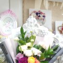 상록자이언트 이미지