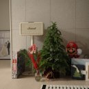 (주)픽셀케어 | 🍬임신 26주 일상, 부산 명지 베이비하우스 브라이텍스 카시트 구입 후기