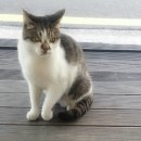 아리따울나 네이버블로그