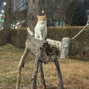 미쓰라김밥 | 제발 우아하게. 엘레강스하게. 그것도 안되면 평범하고 단아하게 살자. 응?