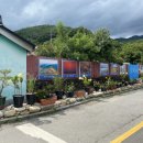 하죽 이미지
