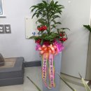 명품이소장공인중개사사무소 이미지