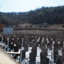 조군농장 이미지