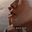 봉선언니