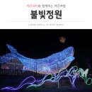 NR-3[평화로]-하-799 | 제주 야간관광지 추천, 여름에 가기 좋은 곳 <불빛정원>