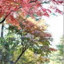 삼성산터널길 이미지