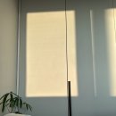 스테이 안셈 이미지