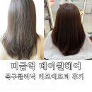 가림빌딩 | 분당 미금역 미용실 메이원헤어 가림쌤 후기｜ 손상모 복구클리닉 받은 날