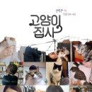 고양이집사 이미지