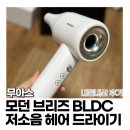 [제품 후기] 무아스 헤어 드라이기 내돈내산 한 달 후기::무아스 모던 브리즈 BLDC 저소음 헤어...