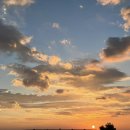 송이네 칼국수 이미지