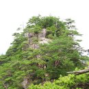 (주)무학항공여행사