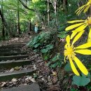 호근동-6 이미지