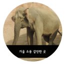 어린이대공원 제7호 이미지