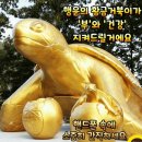 행운의 날