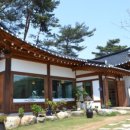 조가네갑오징어원주점 이미지