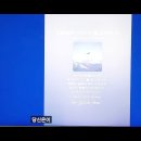왜 정음벡터냐에 대한 답변실증자료 이미지