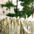 힐타운 공인중개사사무소 이미지