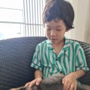 삼양 동물병원 이미지