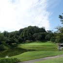 남부권 골프연습장 이미지