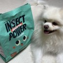 인섹트 파워 이미지