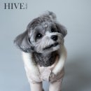 서울사진관 이미지