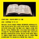 생명의 기쁨 이미지