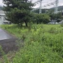 성실조경 | [부산 조경·예초 작업 후기] 풀베기 전과 후, 이렇게 달라집니다! ***********