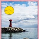 창박로 41번길 49 네이버블로그
