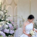 인터그라피 | 대구 호텔예식 / 만촌인터불고웨딩 예식 후기 대구인터불고호텔 / 대구웨딩플래너 새롬플