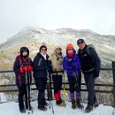 산들바람 이미지