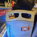 야경시티투어 이미지