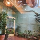 줍(zoooop) 이미지