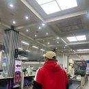 조인치과의원 | [2025.05] (10월에 쓰는) 완벽한 봄의 5월