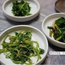 거북이가든 이미지