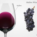 [2013년 12월] 정기모임 및 송년회 - 포도품종 : Malbec(말벡) 이미지