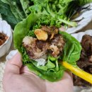 김진순농장 이미지