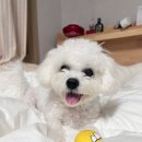 영덕사랑동물병원 이미지