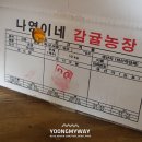 나영농장 이미지