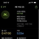 단미쌀디저트