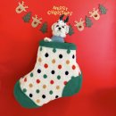 멍문사립유치원 리틀멈머 | 뽀리 유치원 기록-리틀멈머 유치원 포토존 강아지유치원 애견유치원 강아지포토존