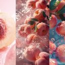 크리드 아쿠아 피오렌티나(Creed, Acqua Fiorentina) 후기, 봄여름 크리드 여자향수 추천