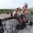 반딧불 프리미엄 이미지