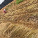 황토골농장 이미지