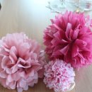 에버그린 데이케어센터 이미지