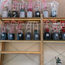 공성주유소 이미지