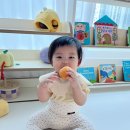 도란도란 북 플레이(5~9개월) | 9개월 아기 장난감 추천, 원목 몬테소리 교구 피카비 플레이키트 (할인쿠폰공유)