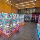 우성오락실 이미지