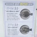 부산횟집 - 김포시 | [시장횟집] 부산 포장 횟집 2만원대로 푸짐하게! 부산 가성비 횟집 후기