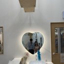 냥냥이 캔따개 네이버블로그